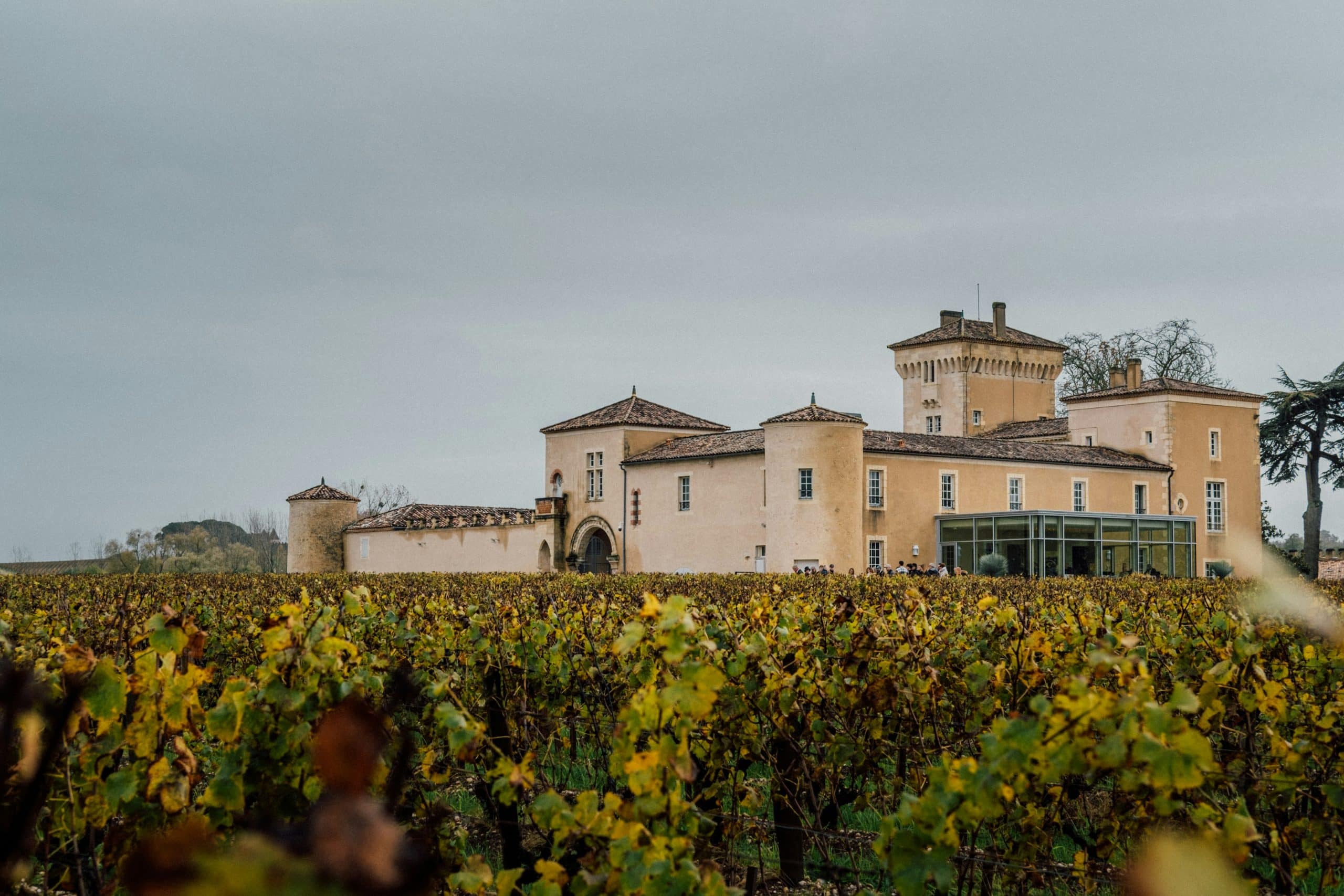 Château bordelais dans les vignes